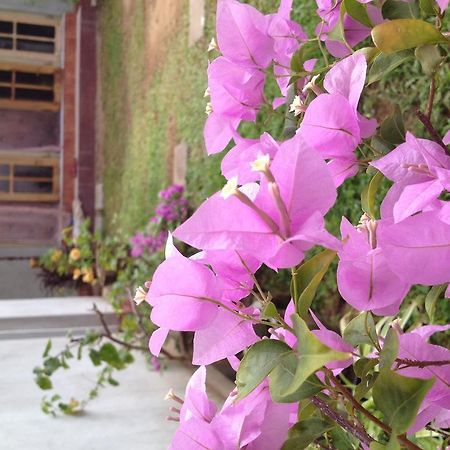 Manik Home Stay Kudapaduwa Exteriér fotografie