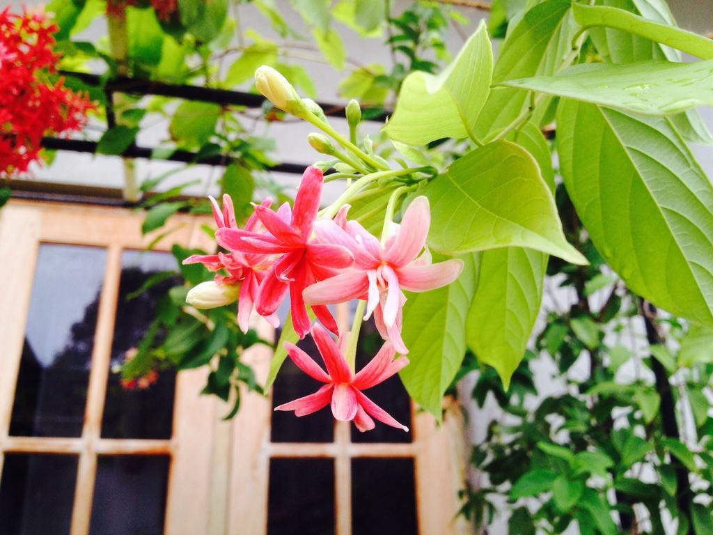 Manik Home Stay Kudapaduwa Exteriér fotografie